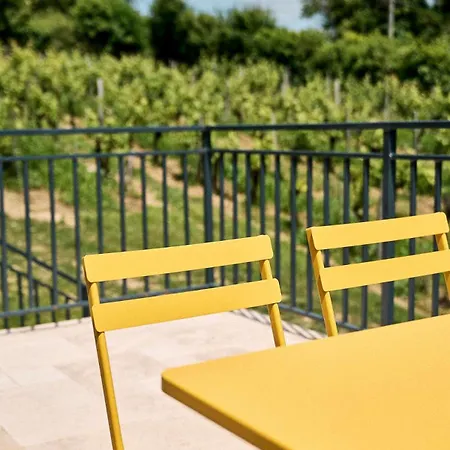 Domaine Baudon, Situe Au Coeur Des Vignes Montagne (Gironde)